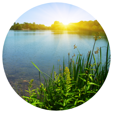 recycling process image 6 sunny-lake